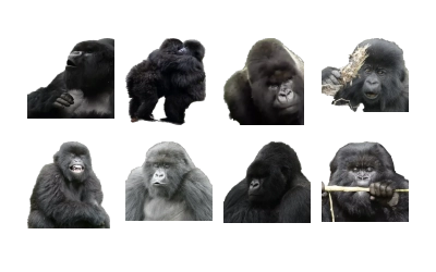 Dian Fossey gorillas