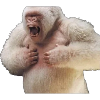 🤪-Dian Fossey gorillas, Telegram Sticker