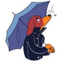 ☔-Dachshund Jones, Telegram Sticker