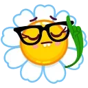 🤓-Daisy Romashka, Telegram Sticker
