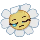 😔-Daisy Romashka, Telegram Sticker