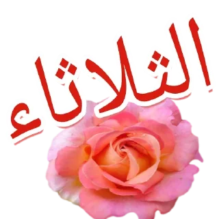 🗓-أيام الأسبوع, Telegram Sticker