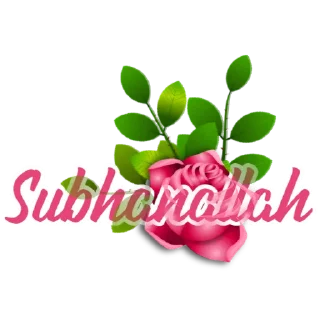 🌸-Design Naastudies, Telegram Sticker