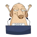 😎-Diggy animated :: @stickroom, Telegram Sticker