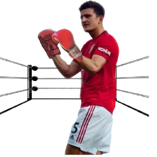 🥊-Theatre_Of_Dream, Telegram Sticker