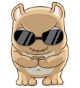 😎-Dumpling, Telegram Sticker