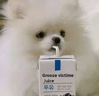 🐩-Elite de l'actu, Telegram Sticker