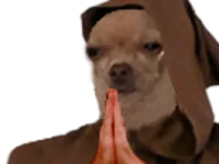 🐶-Elite de l'actu, Telegram Sticker