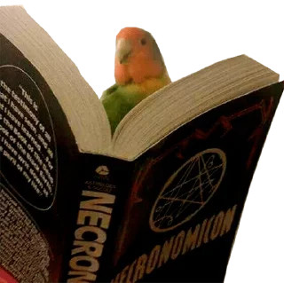 📕-Elite de l'actu, Telegram Sticker
