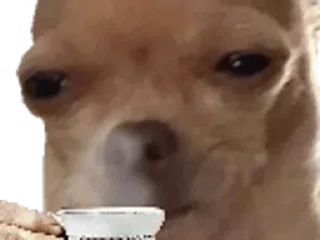 😑-Elite de l'actu, Telegram Sticker