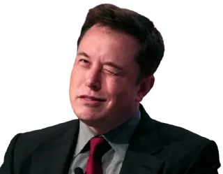 😉-Elon Musk, Telegram Sticker
