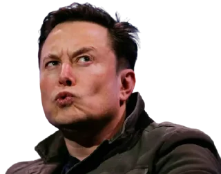 🤨-Elon Musk, Telegram Sticker