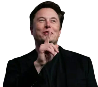 🤫-Elon Musk, Telegram Sticker