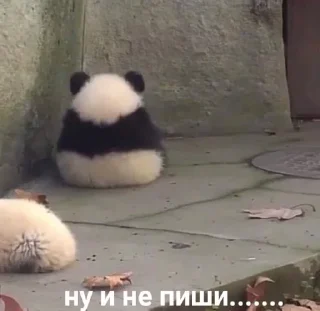 🥺-вместо тысячи слов, Telegram Sticker