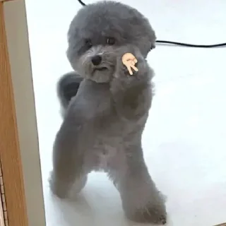 ✌-вместо тысячи слов, Telegram Sticker