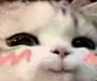 🥰-вместо тысячи слов, Telegram Sticker