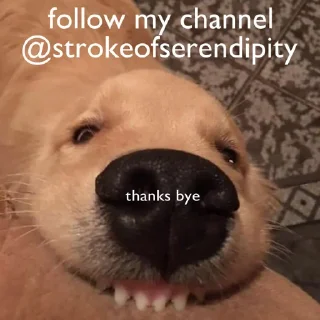 😃-вместо тысячи слов, Telegram Sticker
