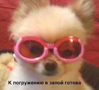 🤩-вместо тысячи слов, Telegram Sticker