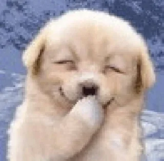 😏-вместо тысячи слов, Telegram Sticker