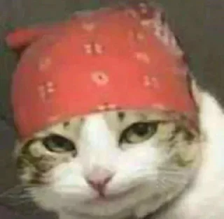 😏-вместо тысячи слов, Telegram Sticker