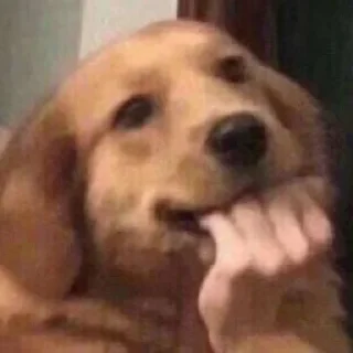 🥰-вместо тысячи слов, Telegram Sticker
