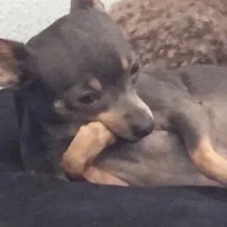 😢-вместо тысячи слов, Telegram Sticker