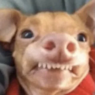 😬-вместо тысячи слов, Telegram Sticker
