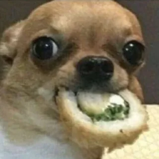 🍣-вместо тысячи слов, Telegram Sticker