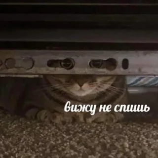 🧐-вместо тысячи слов, Telegram Sticker