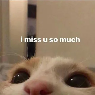 🥺-вместо тысячи слов, Telegram Sticker