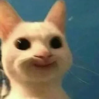 😏-вместо тысячи слов, Telegram Sticker