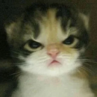 😡-вместо тысячи слов, Telegram Sticker
