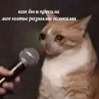 😢-вместо тысячи слов, Telegram Sticker