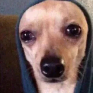 🥺-вместо тысячи слов, Telegram Sticker
