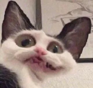 😬-вместо тысячи слов, Telegram Sticker