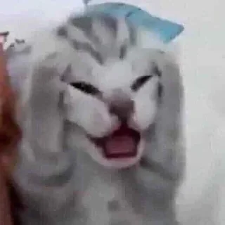 😰-вместо тысячи слов, Telegram Sticker