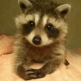 🧐-вместо тысячи слов, Telegram Sticker