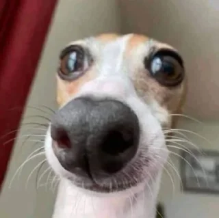 😬-вместо тысячи слов, Telegram Sticker