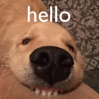 😃-вместо тысячи слов, Telegram Sticker
