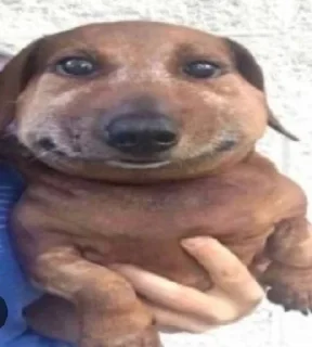🙁-вместо тысячи слов, Telegram Sticker