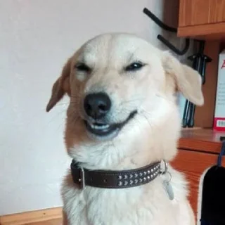😏-вместо тысячи слов, Telegram Sticker