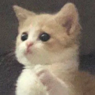 🥺-вместо тысячи слов, Telegram Sticker