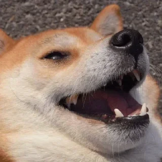 😏-вместо тысячи слов, Telegram Sticker