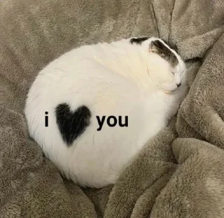 🤍-вместо тысячи слов, Telegram Sticker