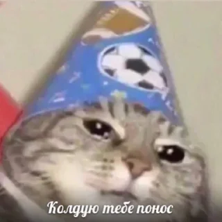 🧚‍♀️-вместо тысячи слов, Telegram Sticker