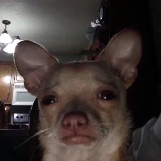 😢-вместо тысячи слов, Telegram Sticker