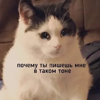 🥺-вместо тысячи слов, Telegram Sticker