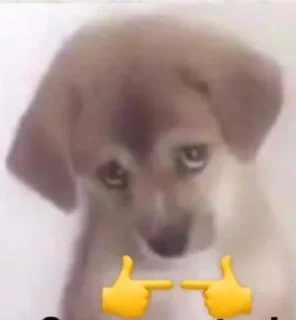 🥺-вместо тысячи слов, Telegram Sticker