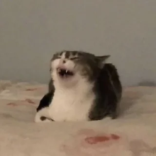 😂-вместо тысячи слов, Telegram Sticker