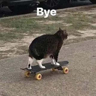 🖕-вместо тысячи слов, Telegram Sticker
